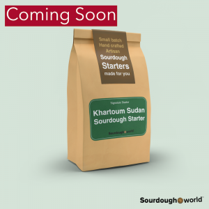 Ancient Sudani Sourdough Starter